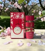 Parfum Yara Candy – Lattafa Amberate – Image 3